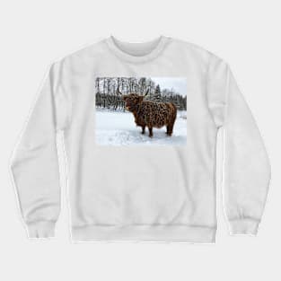 Scottish Highland Cattle Cow 2303 Crewneck Sweatshirt